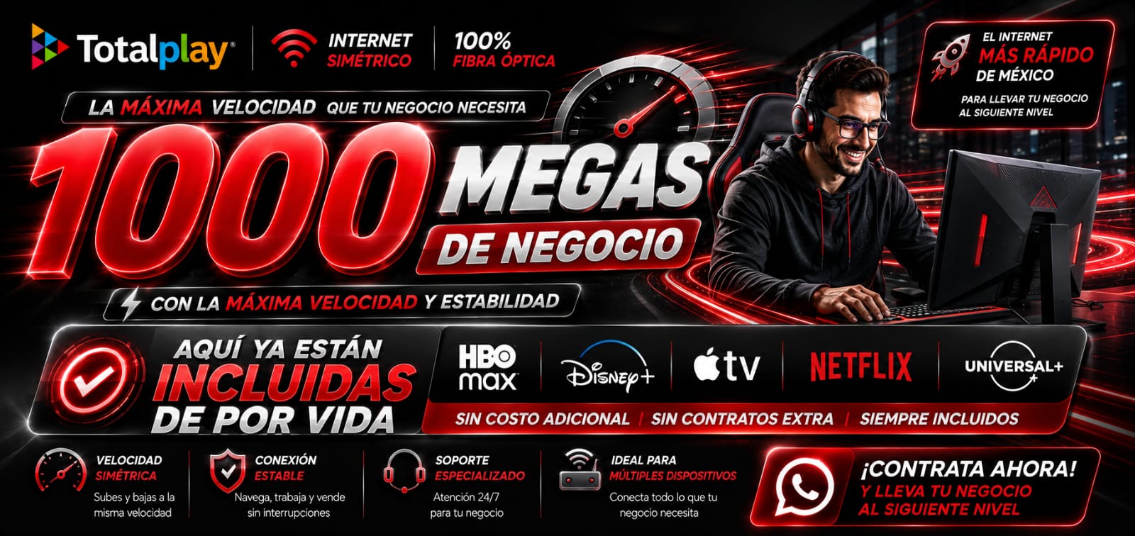 Plan Negocio 1000 Megas